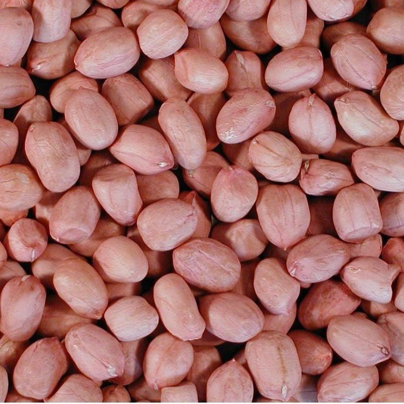 Buy Quality Groceries Groundnut Online